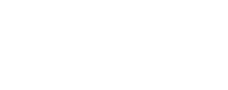 Bobcat of Cape Cod